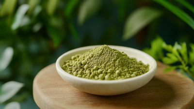 Unlocking the Power of Nature: Innovative Uses for Best Organic Quercetin Powder