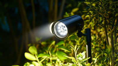 Top Examples of Best Solar Motion Spotlights Outdoor for Enhanced Security and Efficiency
