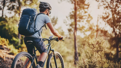 Top Strategies for Selecting the Best Lithium Bike Battery for Global Buyers