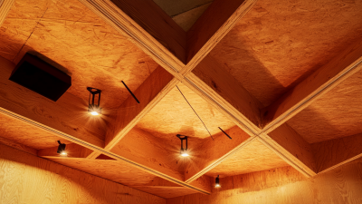 Embracing 2025 Tech Trends: Unveiling the Advantages of Best Plywood Ceiling Panels