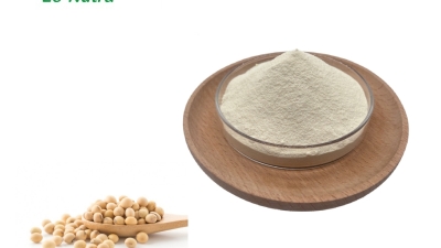 Hydrolysed-Soy-Protein.jpg