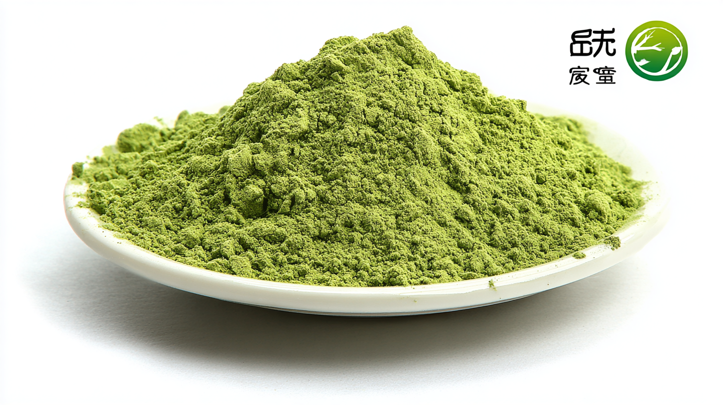 Leading the Charge in Organic Excellence with China's Best Quercetin Powder