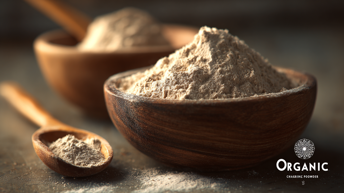 Leading the Charge in Organic Excellence with China's Best Quercetin Powder
