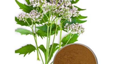 celery seed.jpg