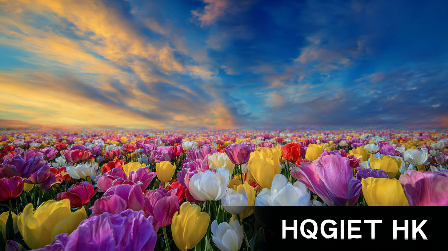 10 Reasons Why Our TVs Have the Best Highest Quality in the Market