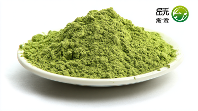 Leading the Charge in Organic Excellence with China's Best Quercetin Powder
