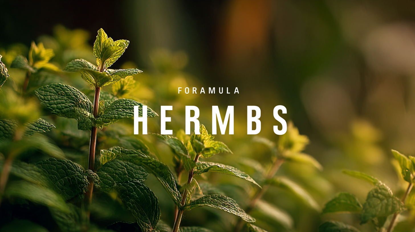 Unleashing the Power of Best Formula Herbs from a Leading Chinese Manufacturer for Global Buyers