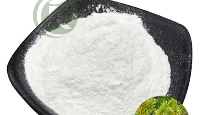 Huperzia Serrata Extract Huperzine A 1% Powder01.jpg