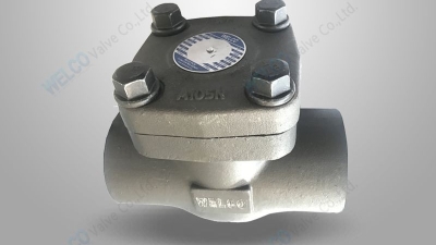 Piston check valve.jpg