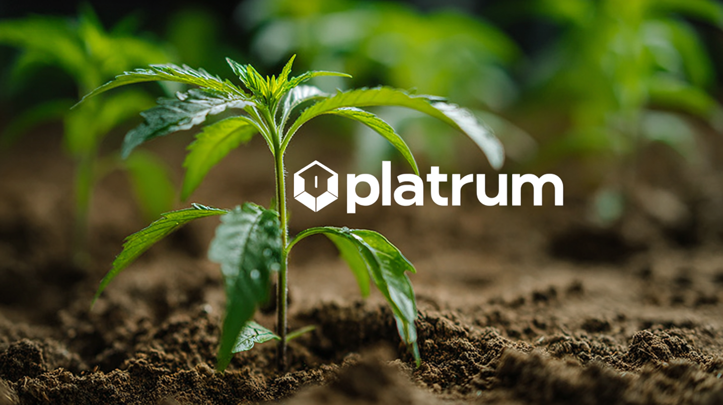 Choosing the Right Manufacturer for Your Best L Plantarum Culture Starter Solutions Guide