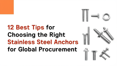 12 Best Tips for Choosing the Right Stainless Steel Anchors for Global Procurement