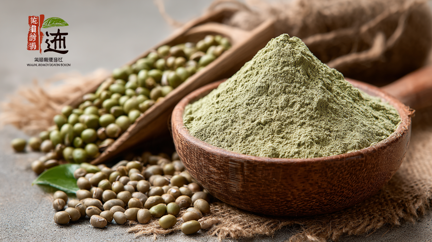 Unlocking Health: The Advantages of Sourcing from the Best Wholesale Mung Bean Protein Powder Factory