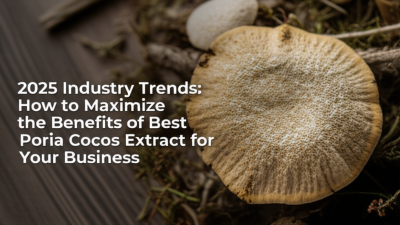 2025 Industry Trends: How to Maximize the Benefits of Best Poria Cocos Extract for Your Business