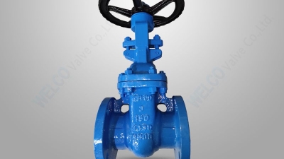 Class 150 wedge gate valve.jpg
