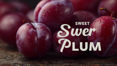 Exploring the Future of Best Sweet Sour Plum Innovation and Technology Trends for 2025 in Food Industry