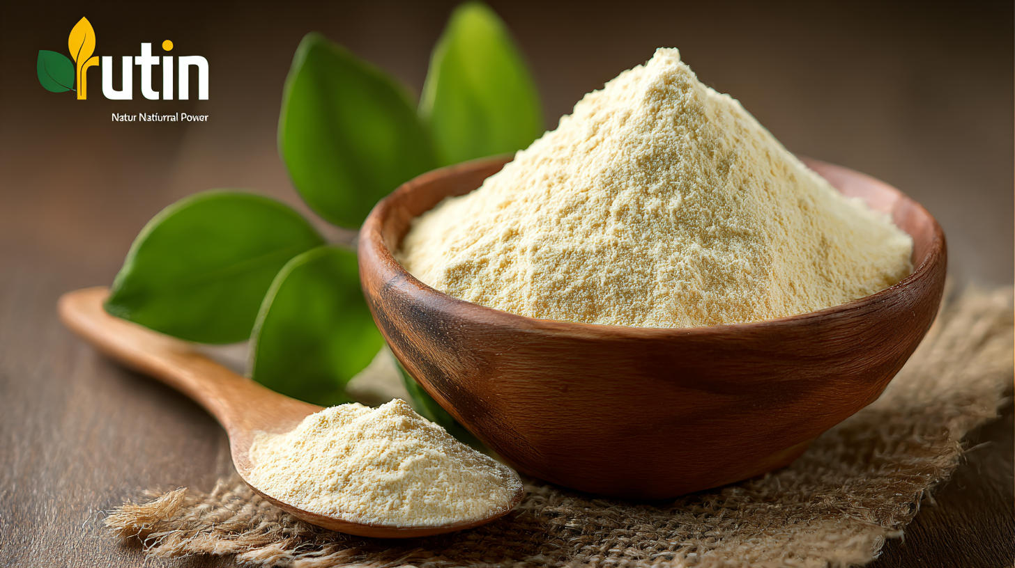 Ultimate Checklist for Sourcing the Best Natural Rutin Powder Globally