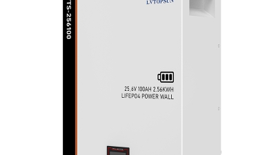 LVTS-256100 Residential Photovoltaic Energy Storage Lithium-Ion Battery (1).jpg