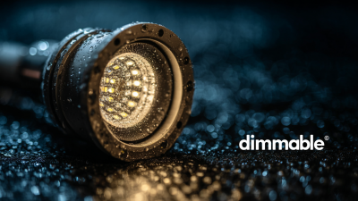 Embracing the Future of Smart Lighting with Best Dimmable Downlight Innovations for 2025
