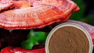 Reshi Mushroom.jpg