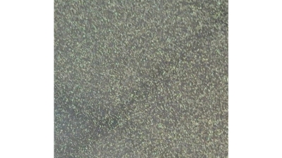 Chameleon Series.jpg