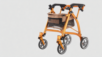 Maximize Your Investment in Best Transport Rollator Chair with Smart Maintenance and Support Strategies