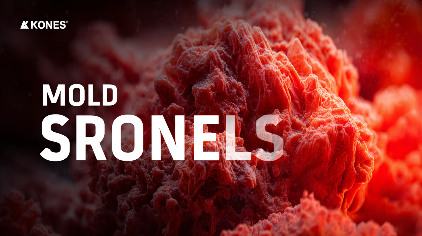 Ultimate Guide to Choosing the Right Mold Shell for Krones Applications