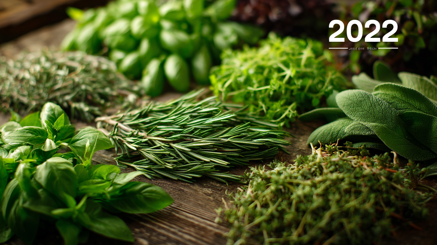 Exploring the 2025 Technology Trends in the Best Single Herbs Market and How to Leverage Them