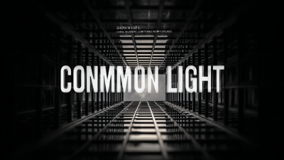 How to Choose the Best Commercial Down Light for Your Business Needs