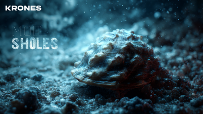 Ultimate Guide to Choosing the Right Mold Shell for Krones Applications