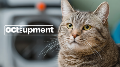 Innovative Ways Best Cat Equipment Enhances Pet Care in Veterinary Clinics