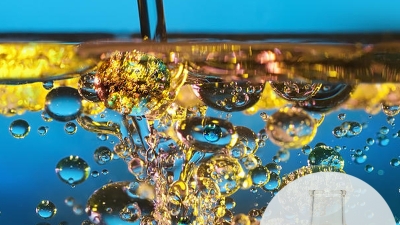 SEA-100.jpg
