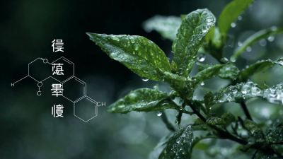 China's Best Botanical Peptide Manufacturing Paving the Way for Global Supply Chain Success