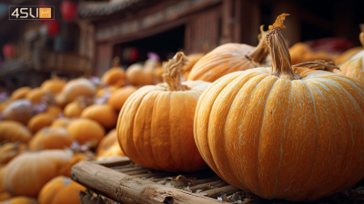 Unveiling China's Top Dried Pumpkins: A Benchmark of Quality and Global Supply Leadership