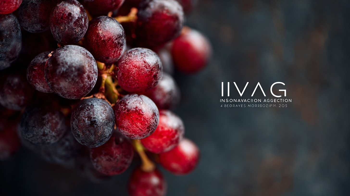 Innovative Resveratrol Solutions Shaping Ageing Technologies by 2025