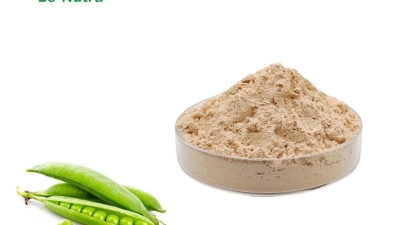 Pea-Protein-Powder.jpg