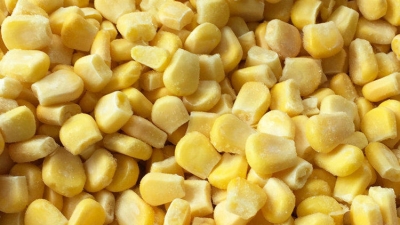 iqf frozen sweet corn.jpg