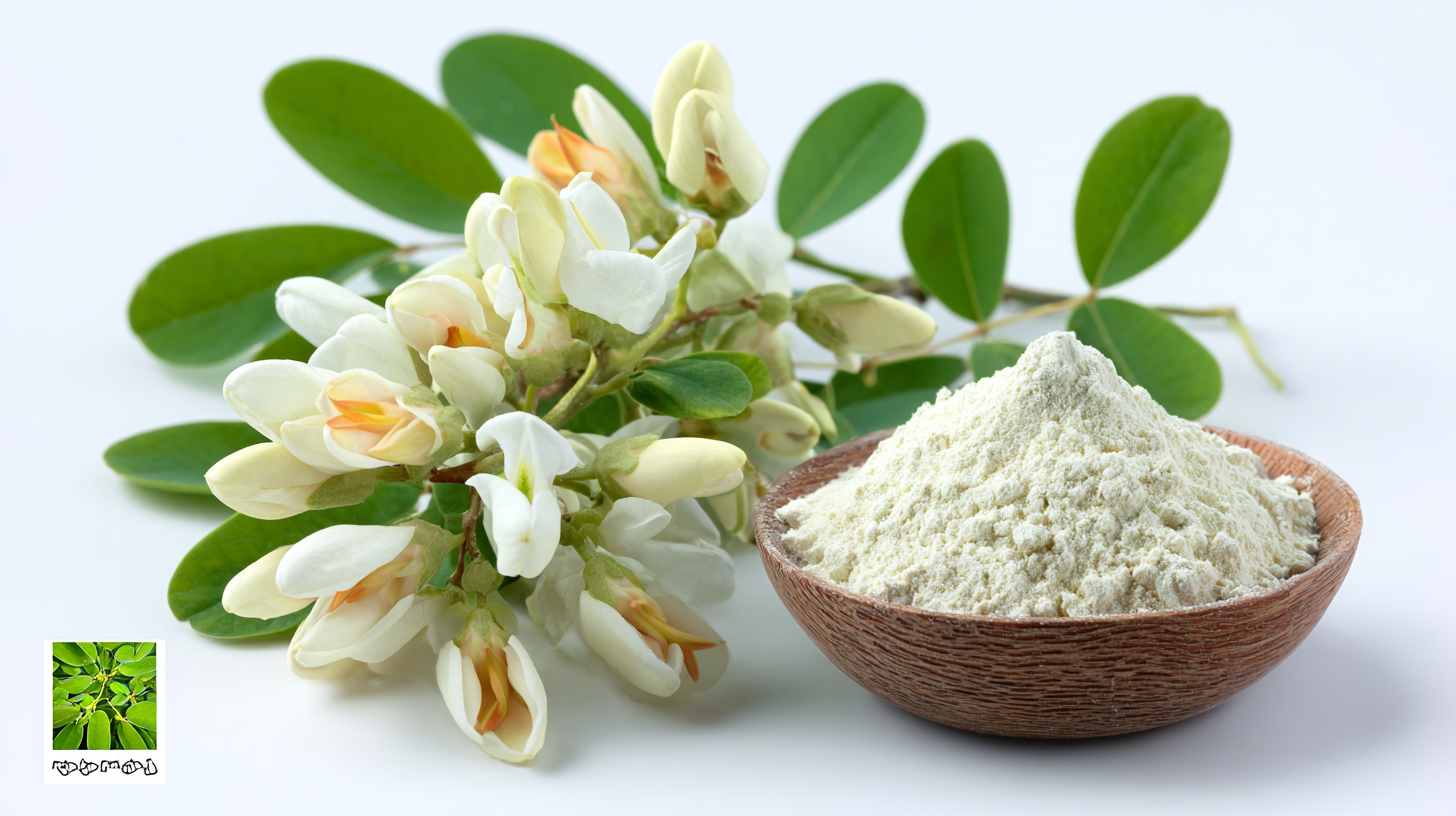 How to Source the Best Natural Sophora Japonica Flower Extract for Your Business?