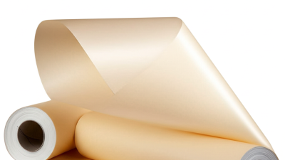 China's Commitment to Quality in Best Parchment Paper Roll Manufacturing for Global Buyers