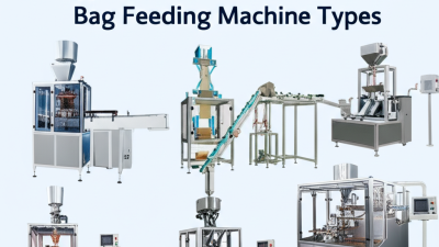 Exploring the Unique Features and Applications of Various Automatic Bag Feeding Machine Types