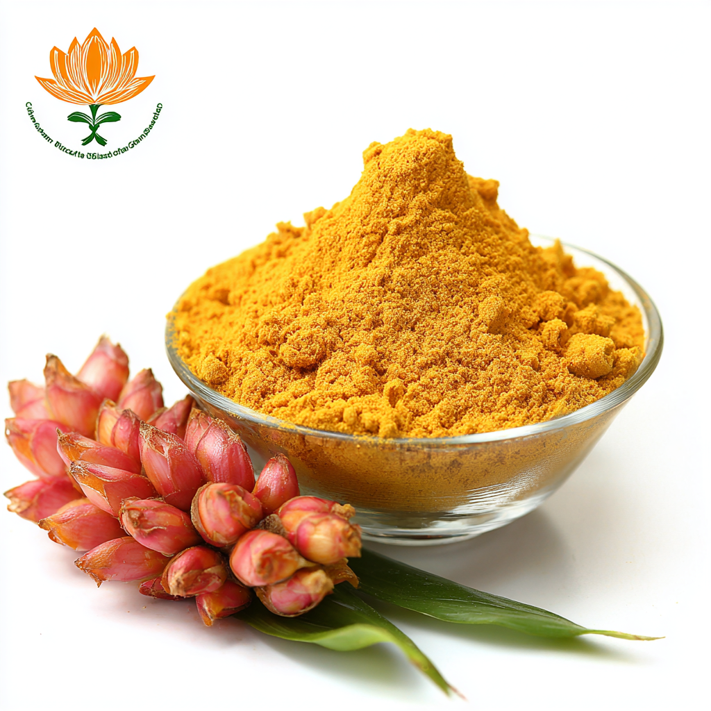 Unmatched Quality of Best Curcuma Longa Extract Made in China for Global Health Solutions