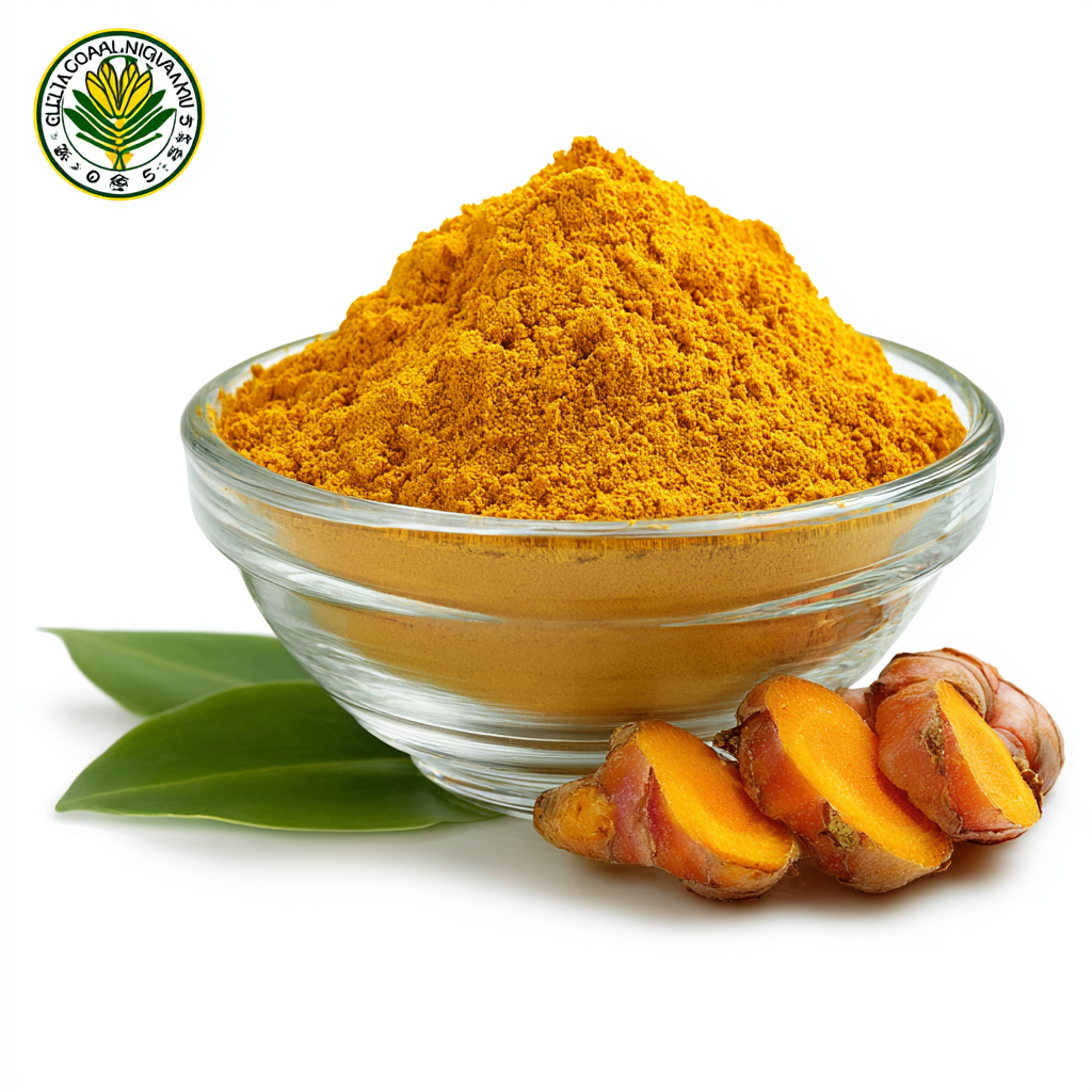 Unmatched Quality of Best Curcuma Longa Extract Made in China for Global Health Solutions