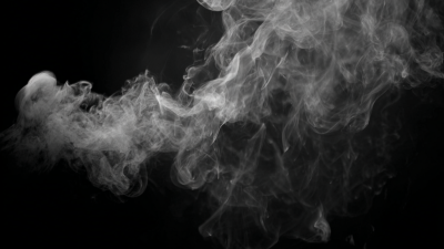 Unlocking the Advantages of the Best Smoke Perpetrator for Global Buyers