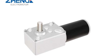 DC Worm Motor.jpg