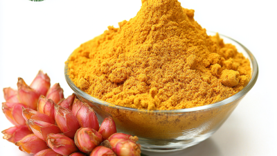 Unmatched Quality of Best Curcuma Longa Extract Made in China for Global Health Solutions