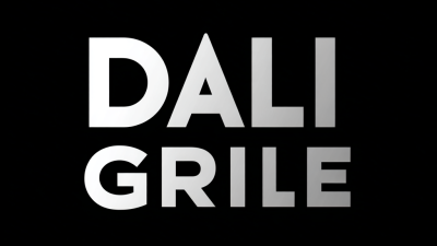 Unlocking the Future of Dali Grille Lights in 2025 with Expert Insights and Buying Tips