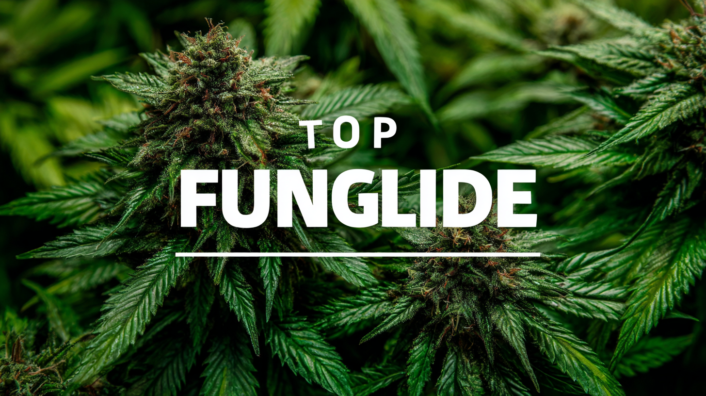 Navigating the Future: 2025 Market Analysis for Best Top Fungicide and How to Optimize Your Sourcing Strategy