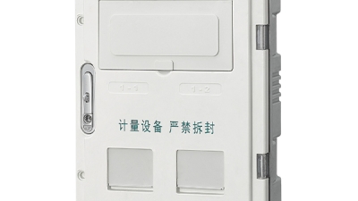 TY-SXD2-2D single-phase two-digit electricity meter box