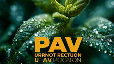 Unlocking New Opportunities with Best Plant Protection Uav Technology