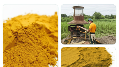Understanding Industry Standards for Best Organic Rutin Powder Quality Assurance