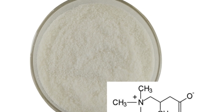 L-carnitine.jpg